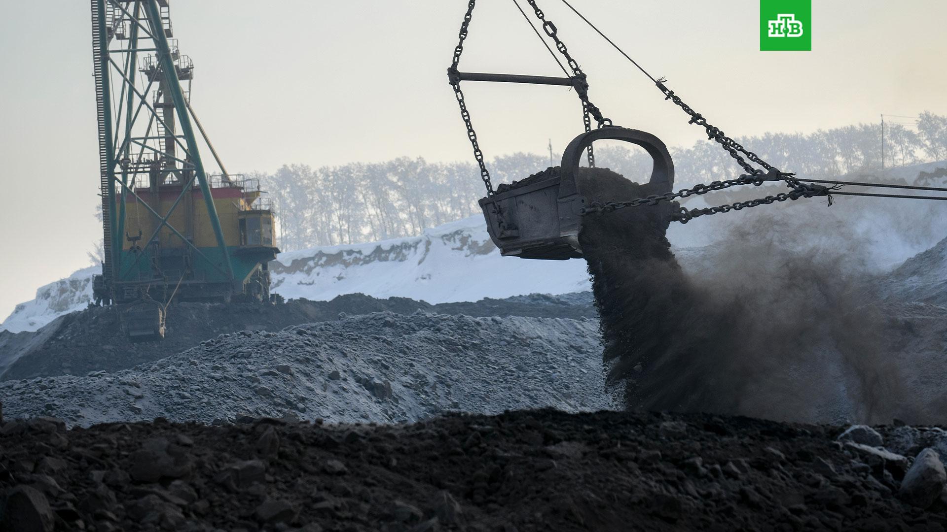 Мировое потребление угля в 2022 году вырастет на 1,2% 