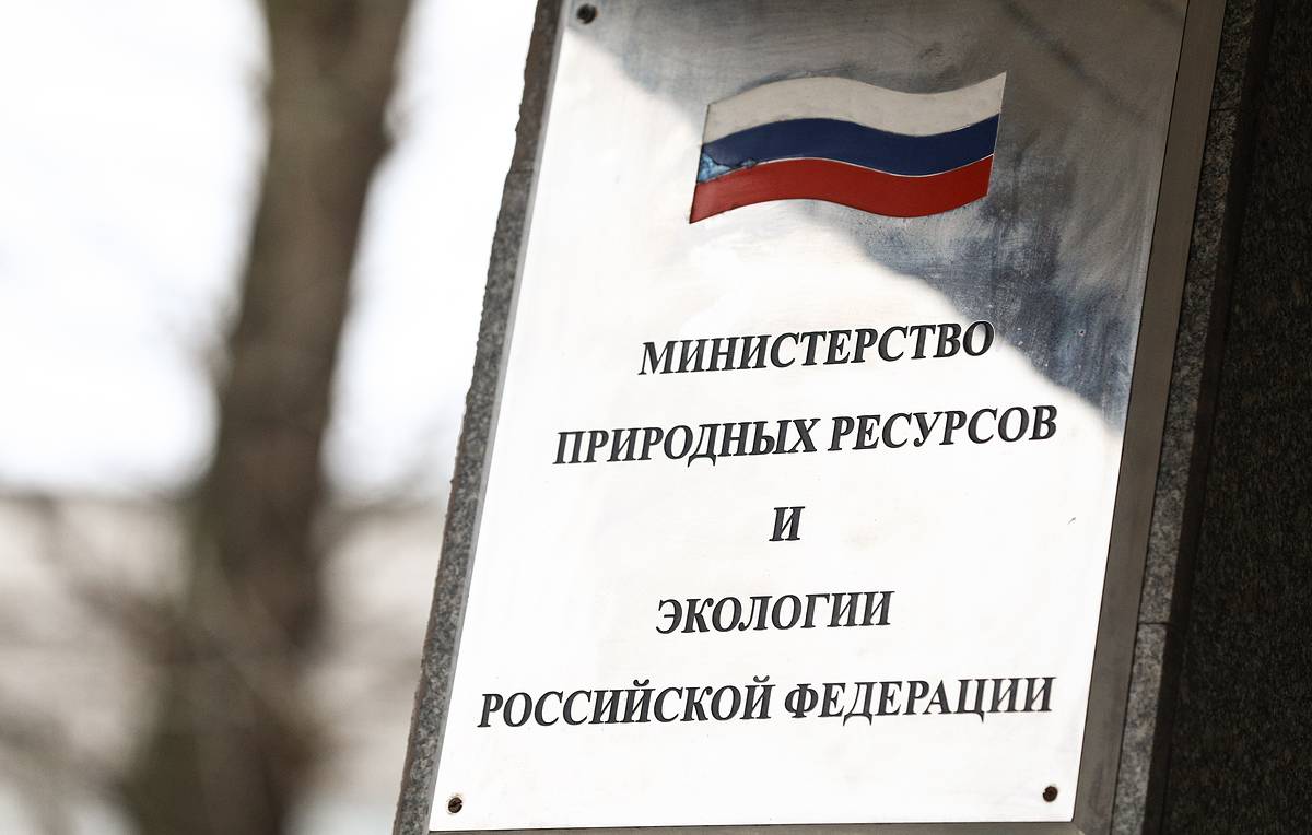 Механизм оказания консультационной помощи компаниям в решении вопросов охраны окружающей среды и соблюдения экологического законодательства при создании инвестпроектов