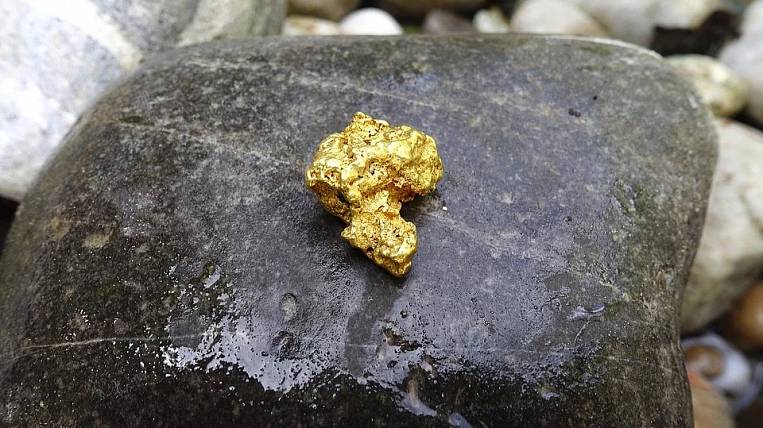 Золотодобытчики намерены побить исторический рекорд в Хабаровском крае