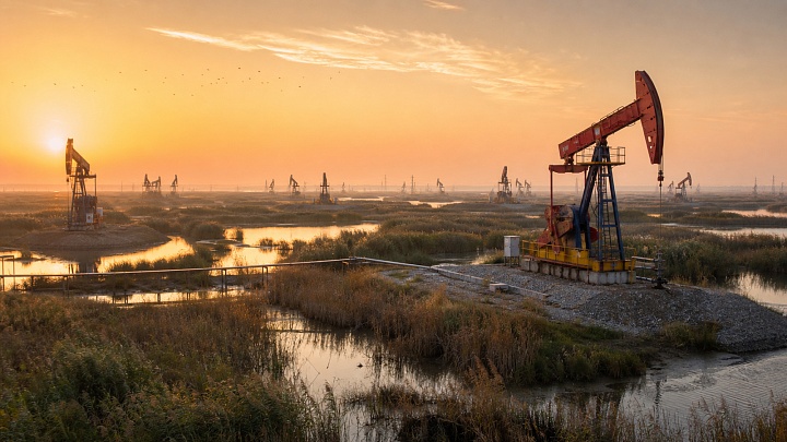 Нефтяное месторождение Шэнли